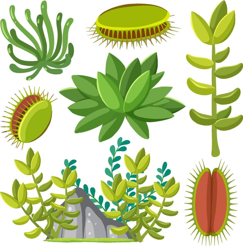 verschillende planten naadloos patroon vector