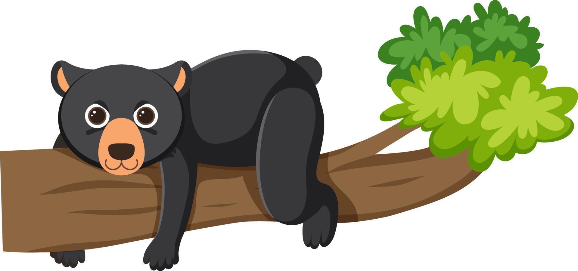 zwarte beer liggend op boom vector