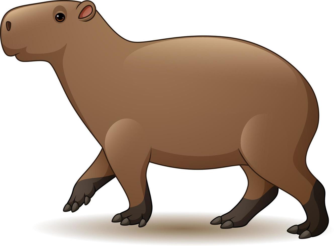 illustratie van capibara geïsoleerd op een witte achtergrond vector