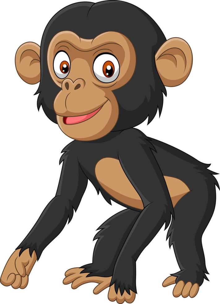 schattige baby chimpansee cartoon op witte achtergrond vector