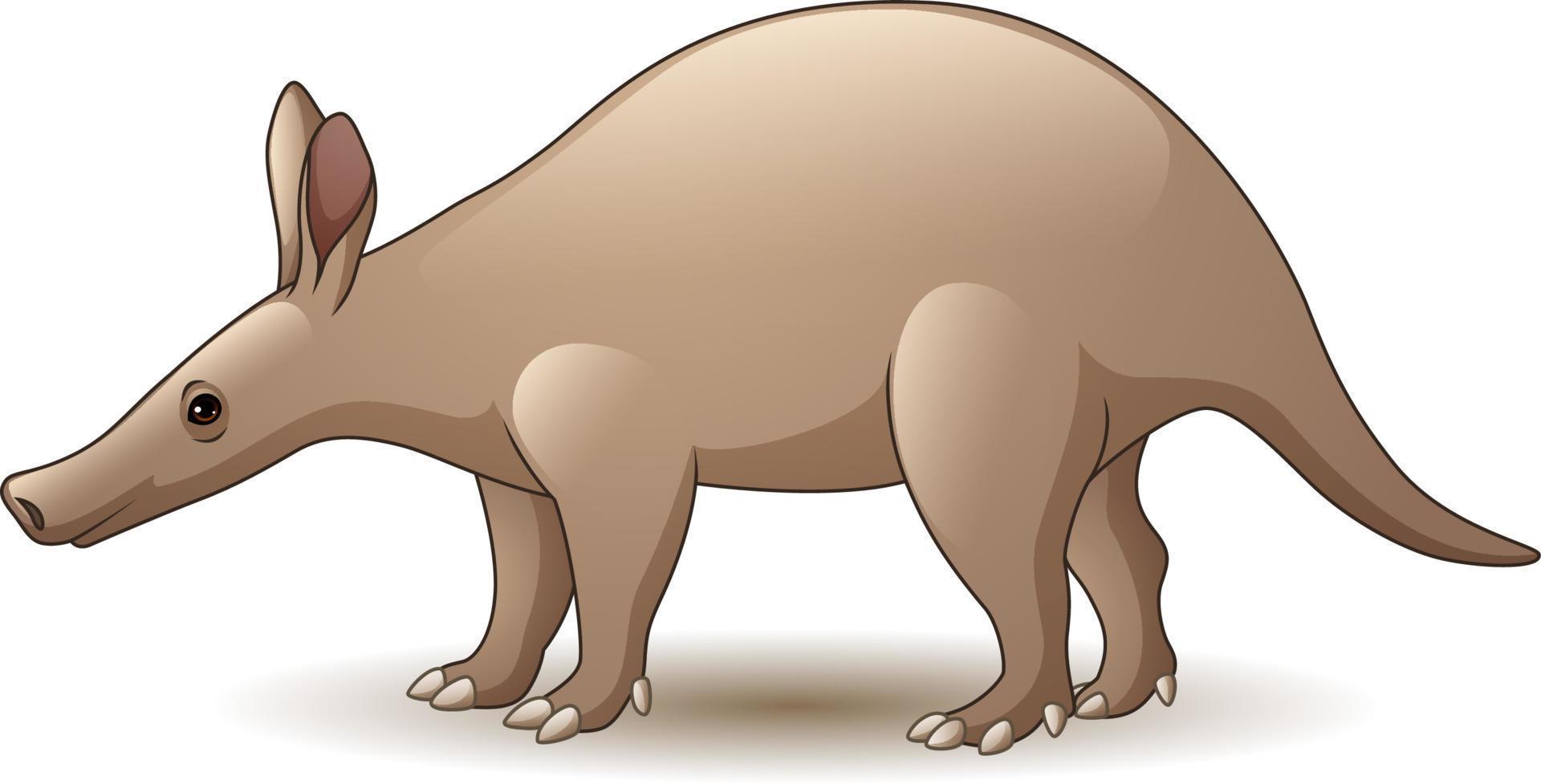 cartoon aardvarken geïsoleerd op witte achtergrond vector