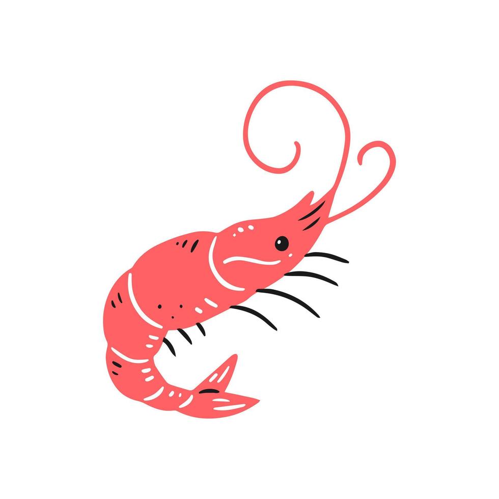roze garnalen in doodle stijl. vector geïsoleerde dierlijke illustratie.
