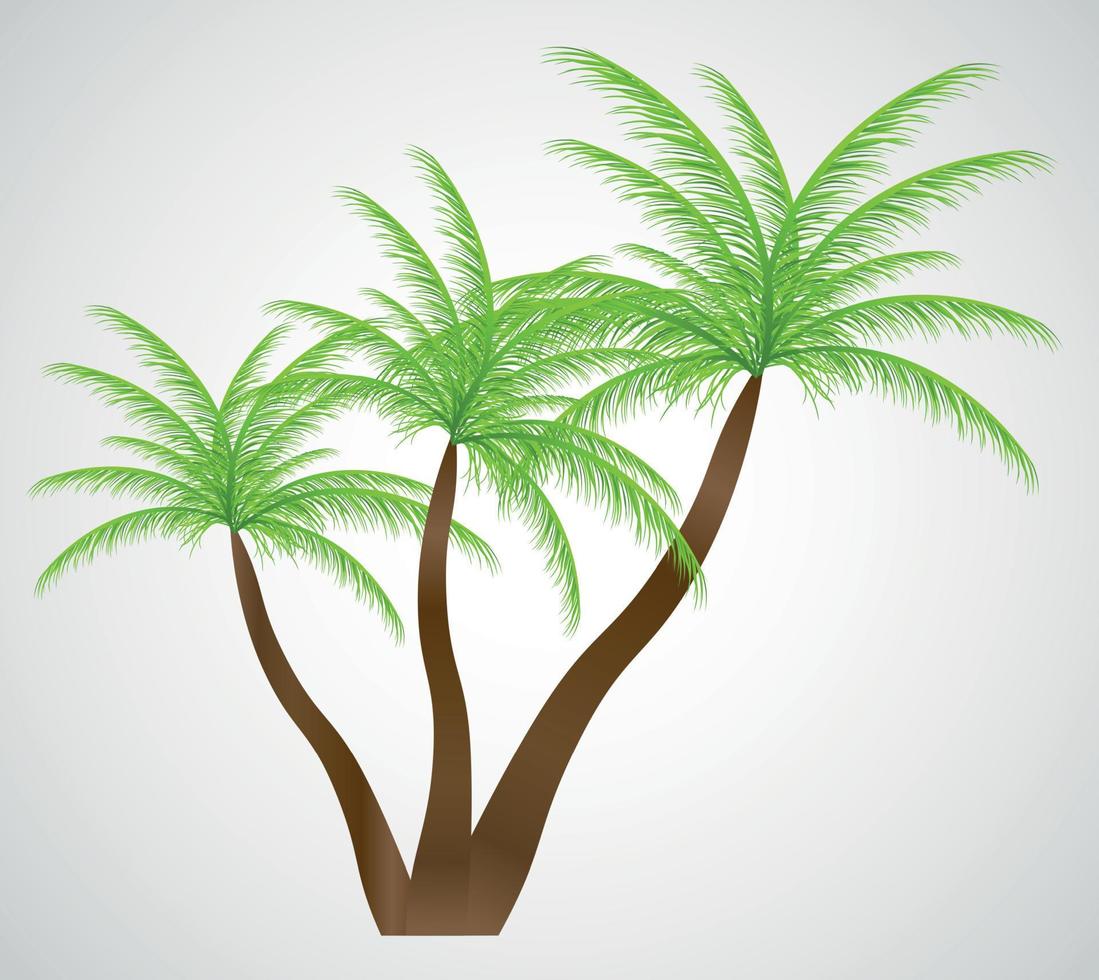 palm in de zonsondergang. vectorillustratie. eps 10 vector