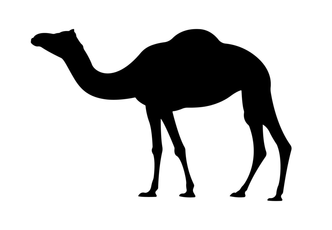 kameel dier silhouet, dromedaris zoogdier illustratie. vector