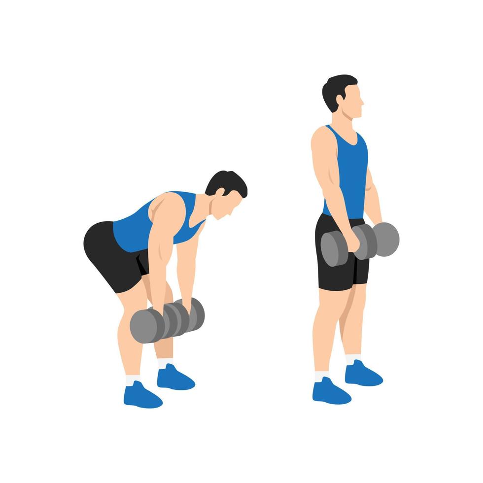 man doet dumbbell stijve been deadlift oefening. platte vectorillustratie geïsoleerd op een witte achtergrond vector