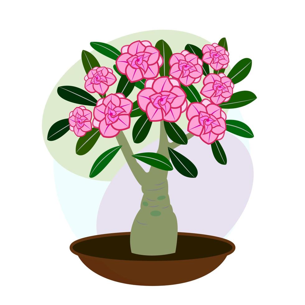 bloem voor binnen. kamerplant. bloeiende adenium. bonsai. vector afbeelding