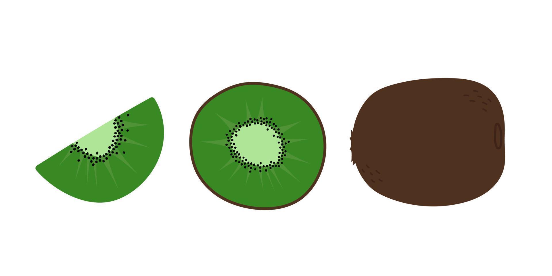 hand getrokken kiwi fruit set. hele kiwi en plakjes. geïsoleerde vectorillustratie. vector