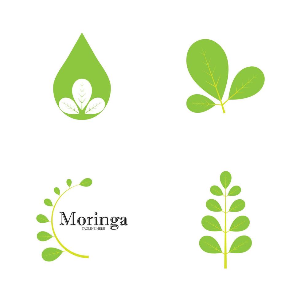 moringa blad logo illustratie vector ontwerp