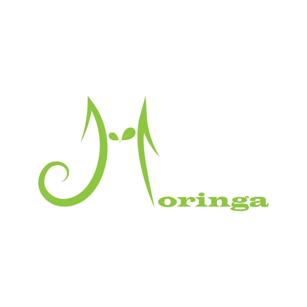 moringa blad logo illustratie vector ontwerp