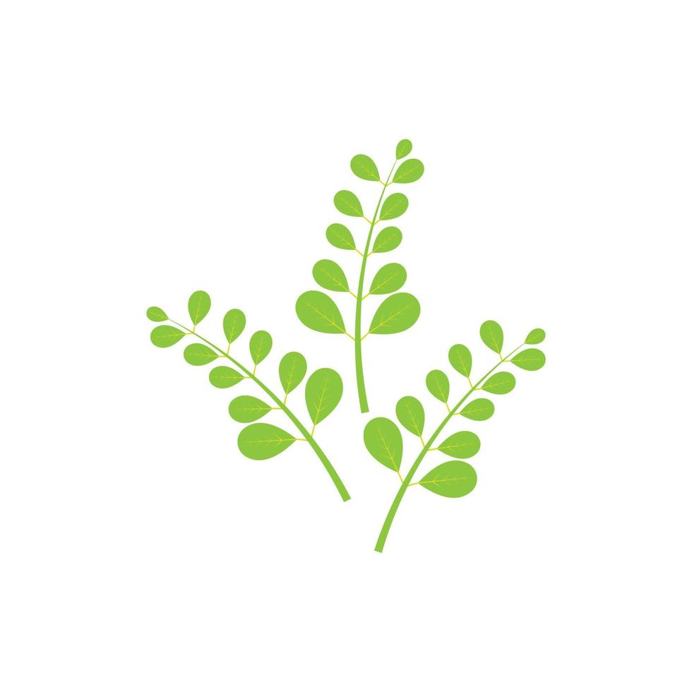 moringa blad logo illustratie vector ontwerp