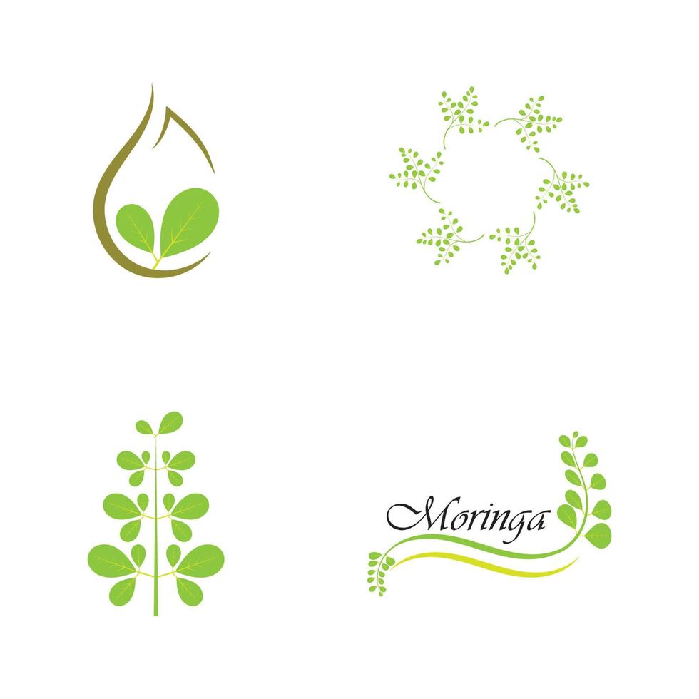 moringa blad logo illustratie vector ontwerp