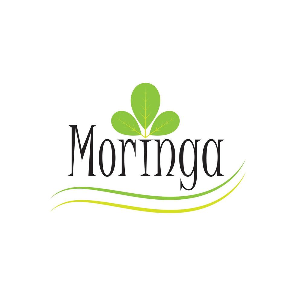 moringa blad logo illustratie vector ontwerp