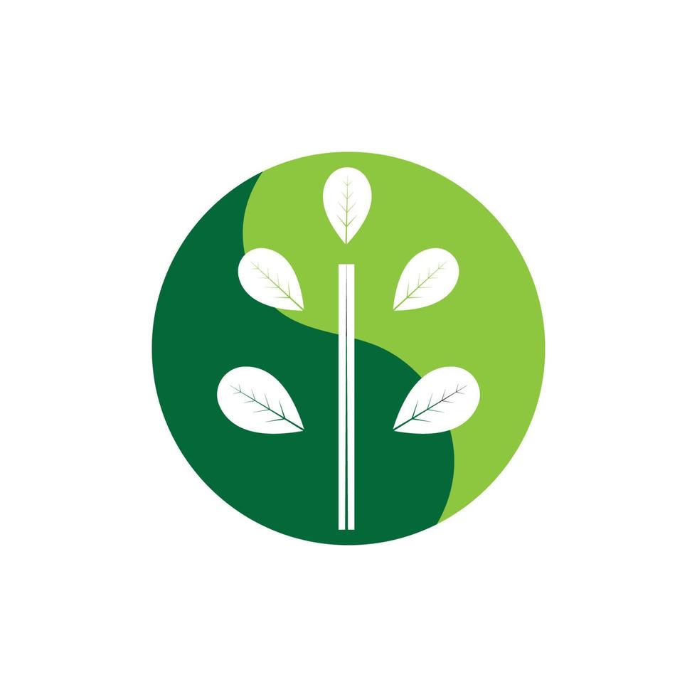 moringa blad logo illustratie vector ontwerp