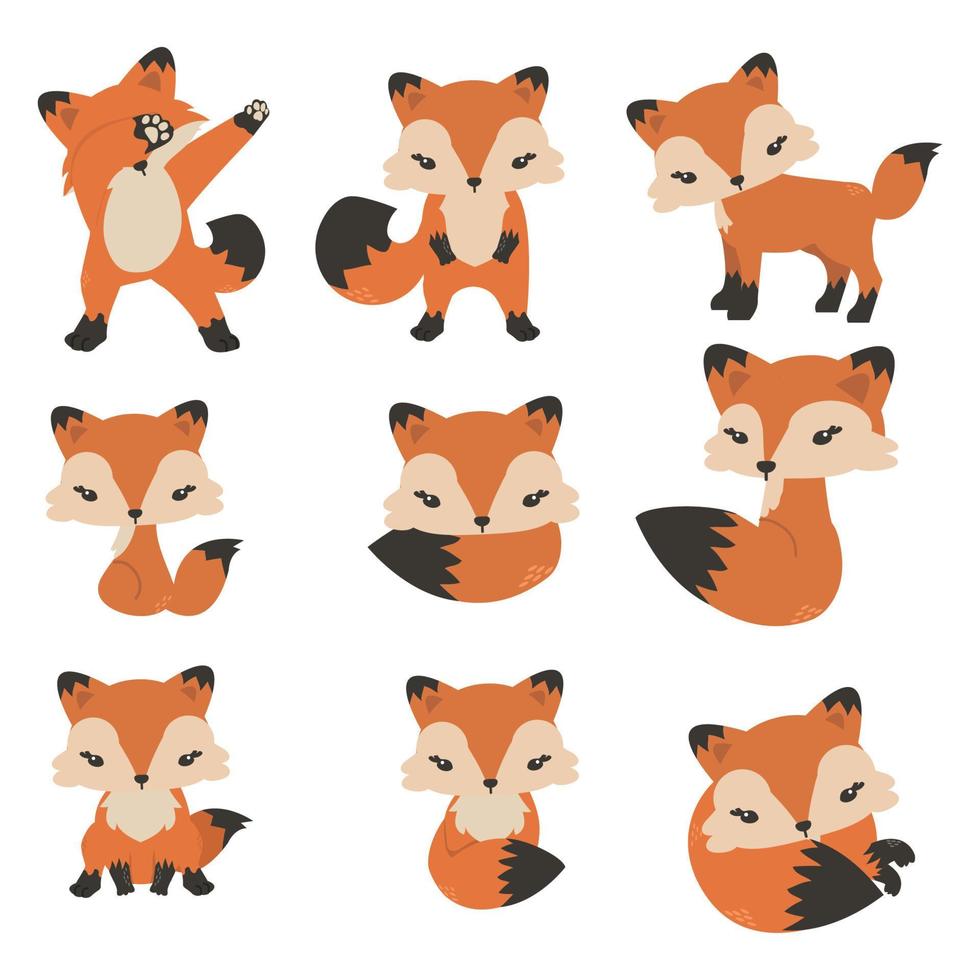 schattige vossen cartoon in verschillende poses collectie vector