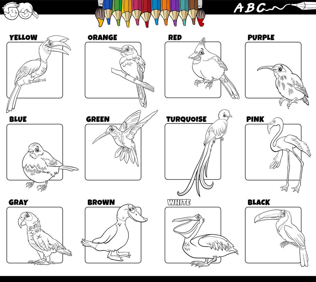 basiskleuren met vogels dierlijke karakters set kleurplaat vector