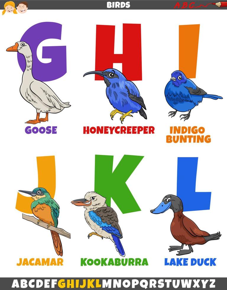 educatieve alfabet set met cartoon vogels dierlijke karakters vector