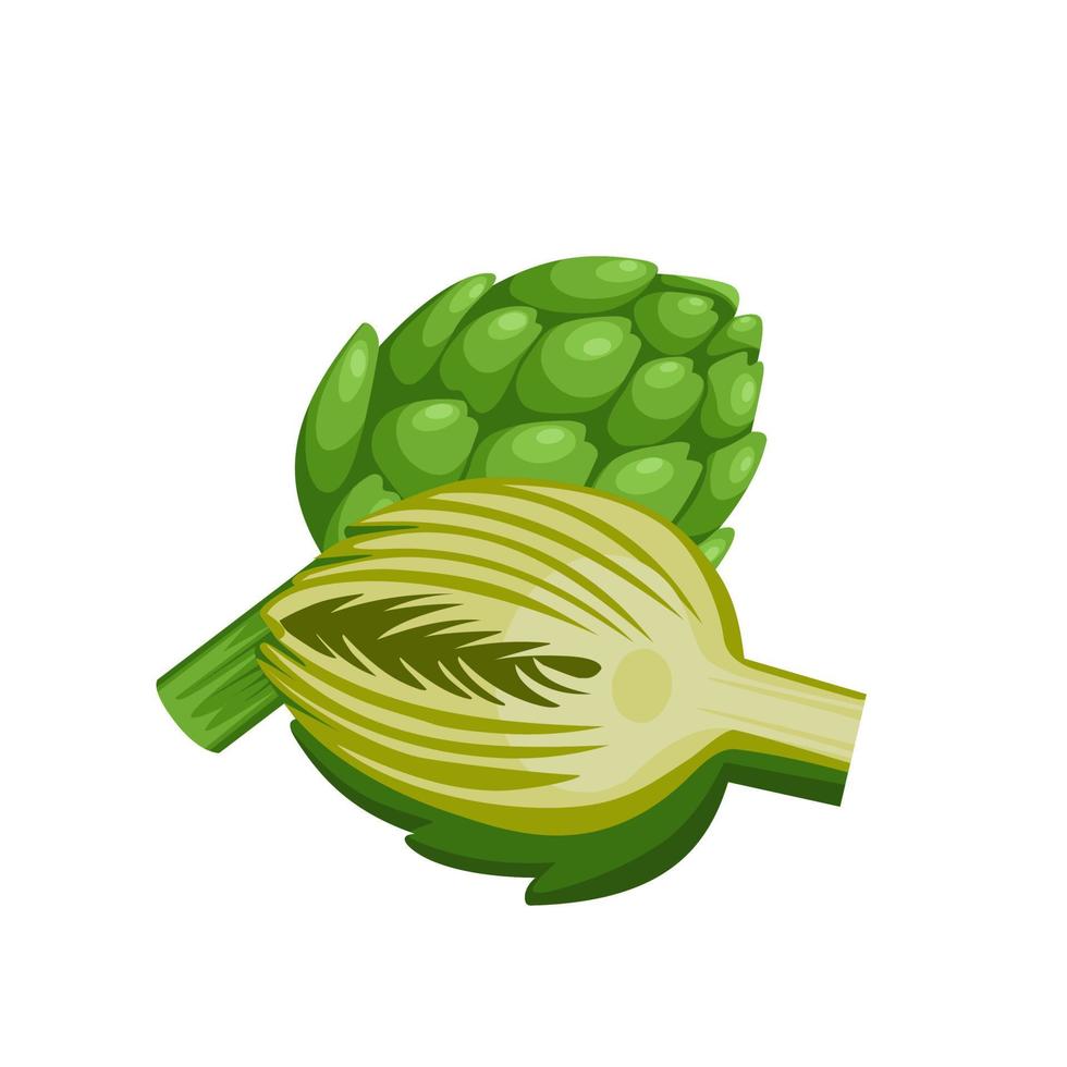 vectorillustratie van globe artisjok of groene distel bloemknop van cynara cardunculus. geïsoleerd op een witte achtergrond. gezonde groene groenten. verse Franse artisjokkoppen. vector
