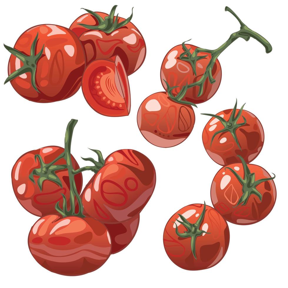 set handgetekende tomaten. groep en een plak vector