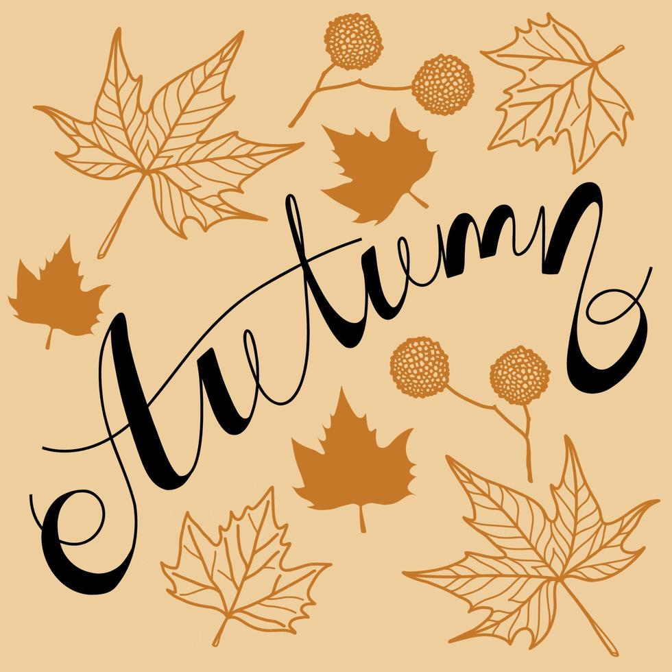 herfst hand getekende kalligrafie ontwerpsjabloon met sycamore en esdoorn bladeren. t-shirt, wenskaart, banner belettering illustratie. vector