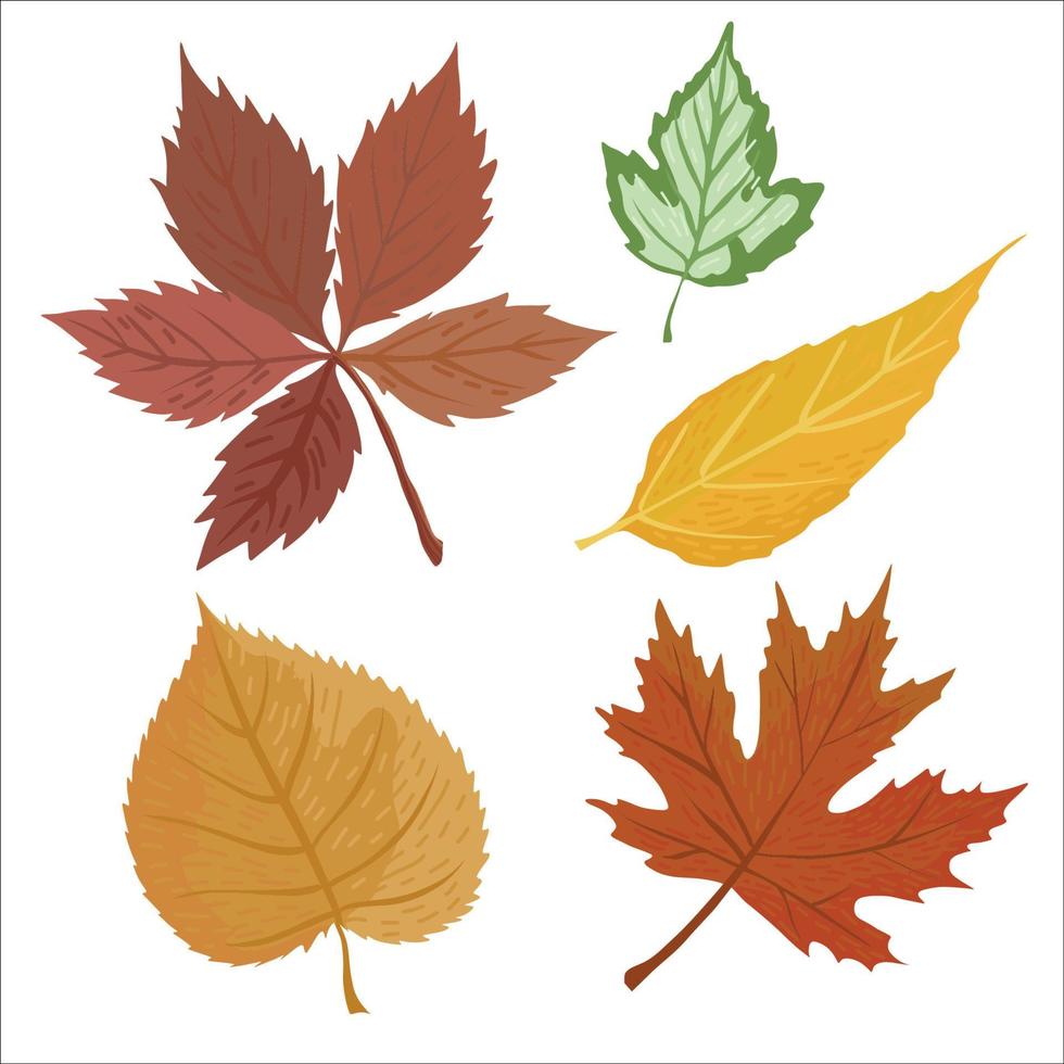 vector set van 6 herfst elementen, geel en groen blad, oranje oranje bladeren van esdoorn en kastanje. helder seizoensconcept