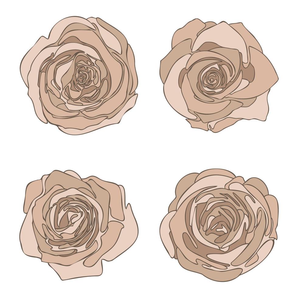 hand getrokken stoffige roos rozen bloemen set, abstracte bloesem bloemen collectie geïsoleerd op de witte achtergrond. vintage plantkunde decoratie-elementen voor florish ontwerp vectorillustratie. vector