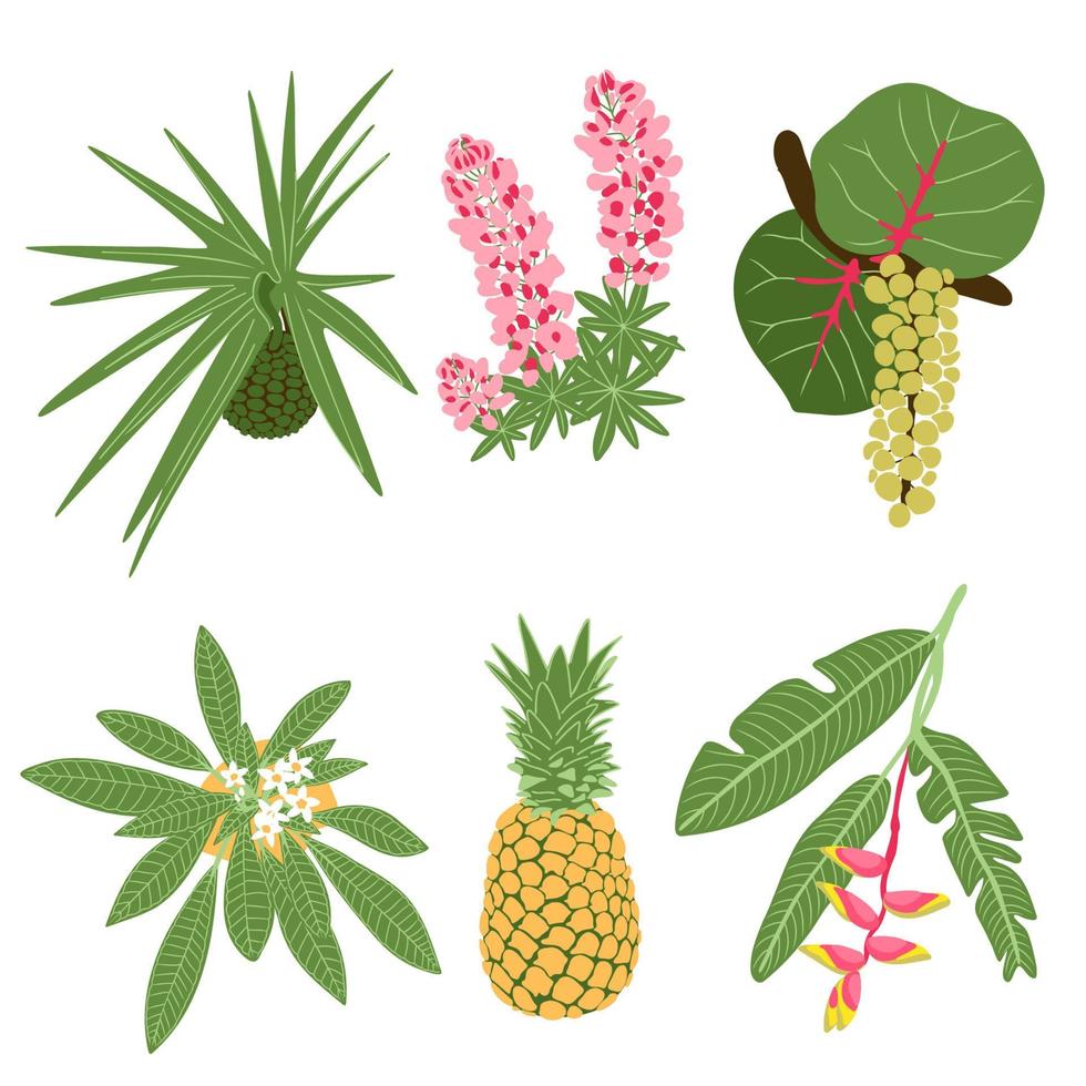 exotische zomer fruit en bloemen platte set, hala fruit pandan rijp schroef pine, heliconia lupine plumeria bloemen en bladeren, ananas, coccoloba uvifera seagrape fruitboom brunch vectorillustratie vector