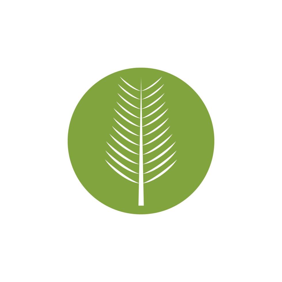 palmboom blad illustratie logo sjabloon vector ontwerp