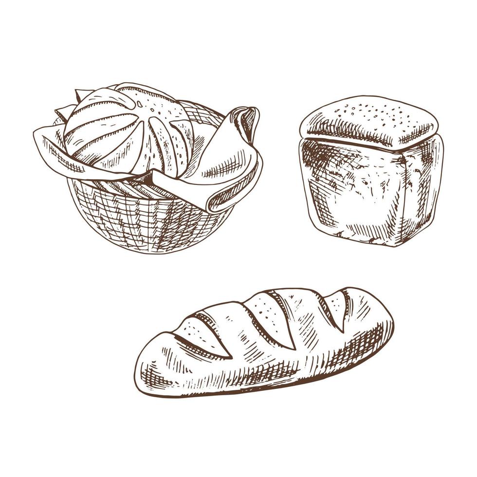 vintage hand getrokken schets bakkerij stijlenset. brood in mand en gebak op witte achtergrond. vectorillustratie. pictogrammen en elementen voor print, web, mobiel en infographics. vector