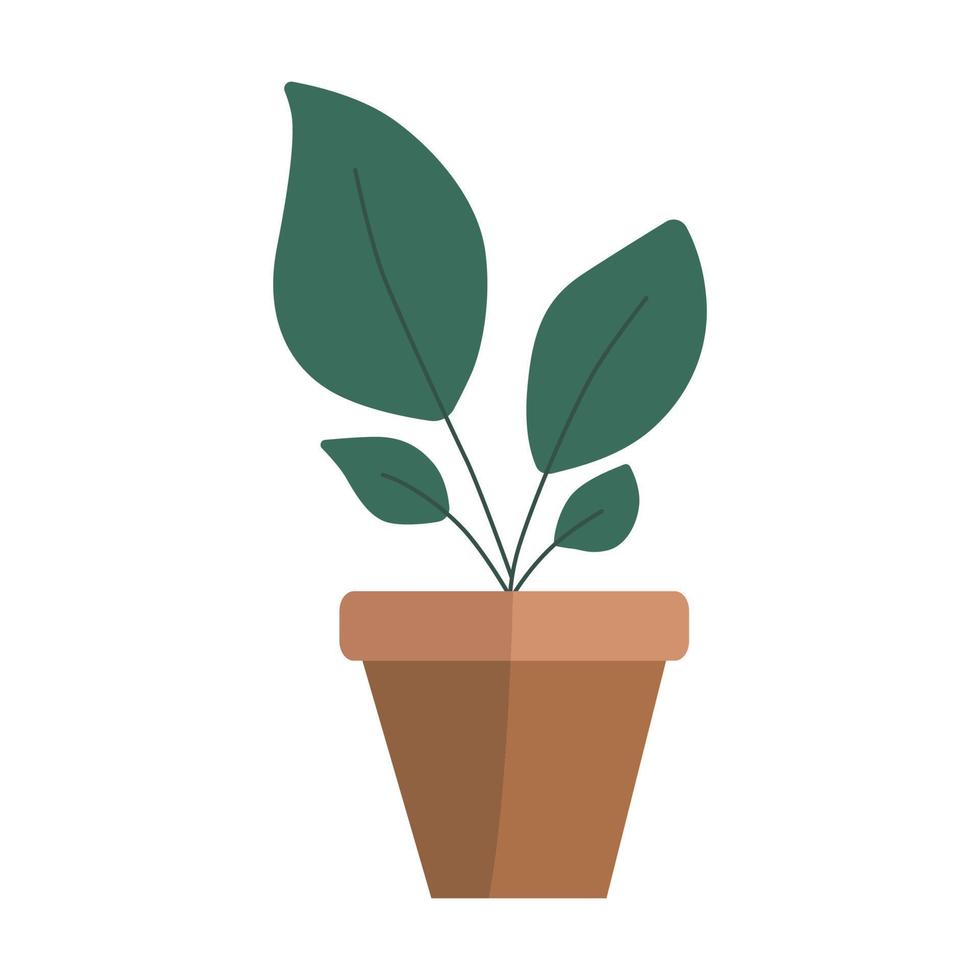 handgetekende platte vectorplanten in de pot. planten illustratie geïsoleerd op een witte achtergrond. vector
