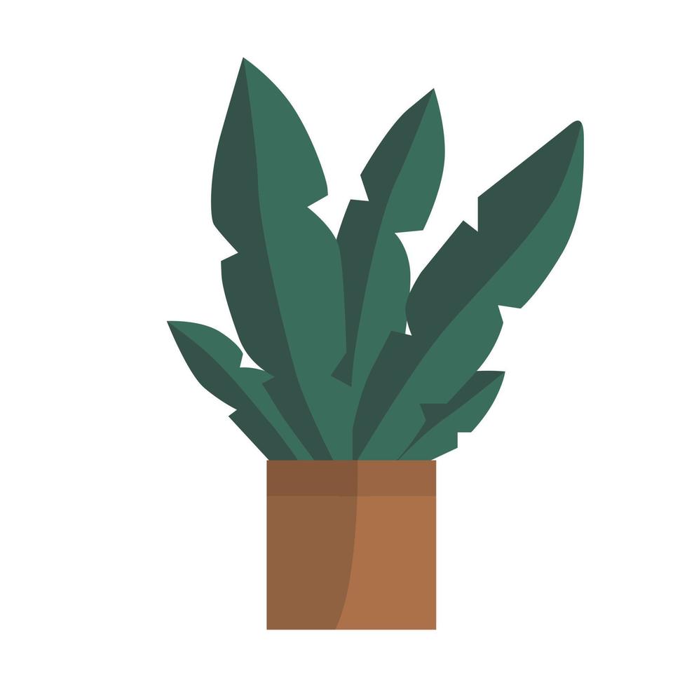 groene planten in de pot. handgetekende huisplanten in potten. planten illustratie geïsoleerd op een witte achtergrond. vector