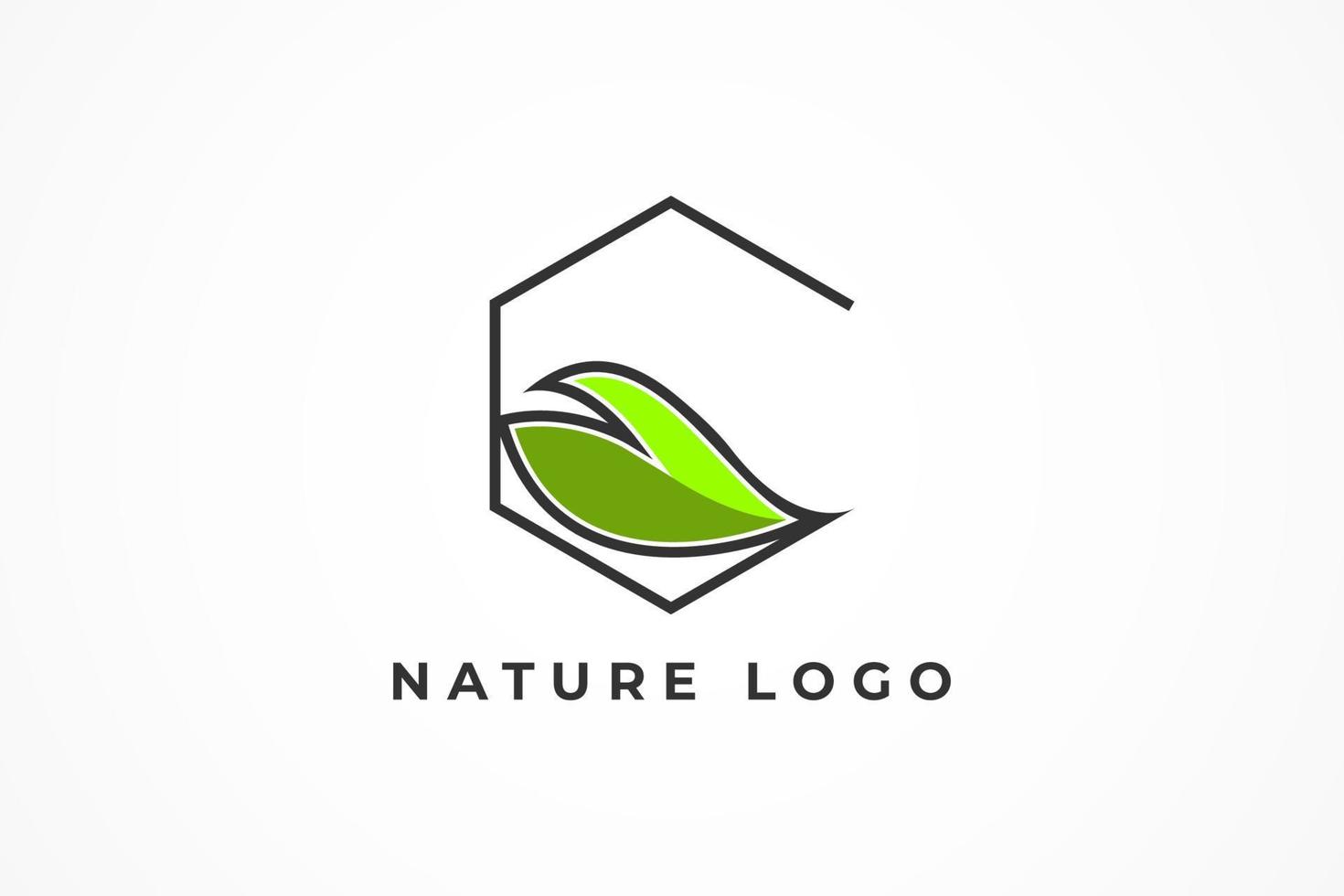 eco-logo, geïsoleerd blad in zeshoekige lijn vector