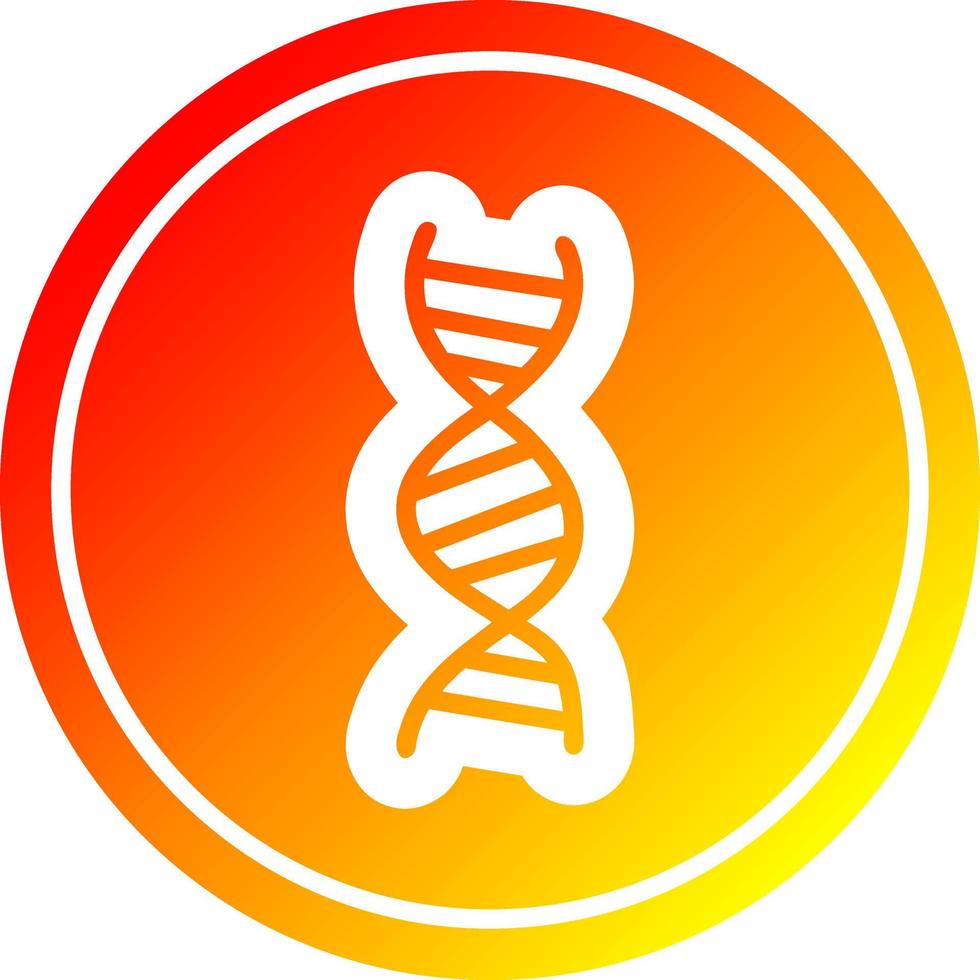 dna-keten circulair in hete gradiëntspectrum vector