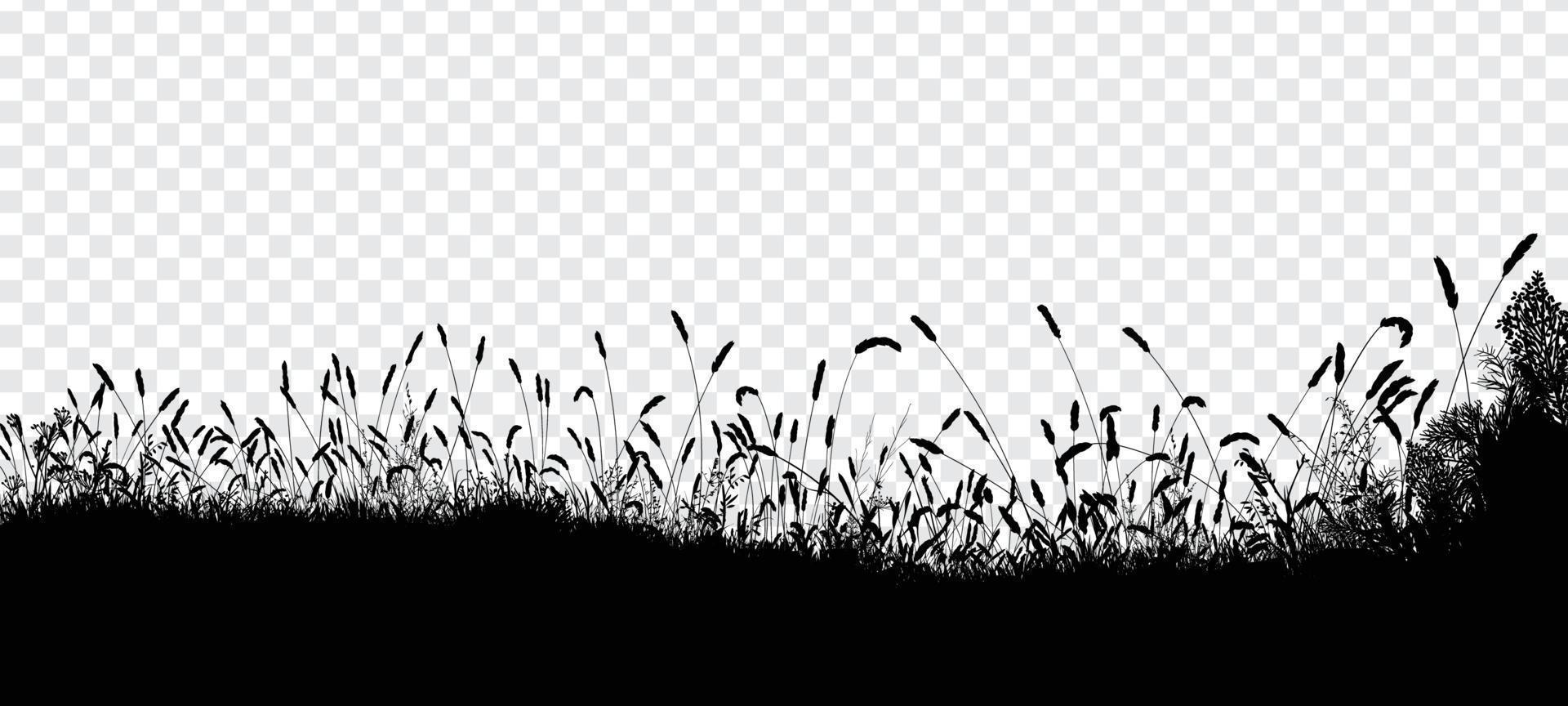 gras in de weide silhouet achtergrond vector