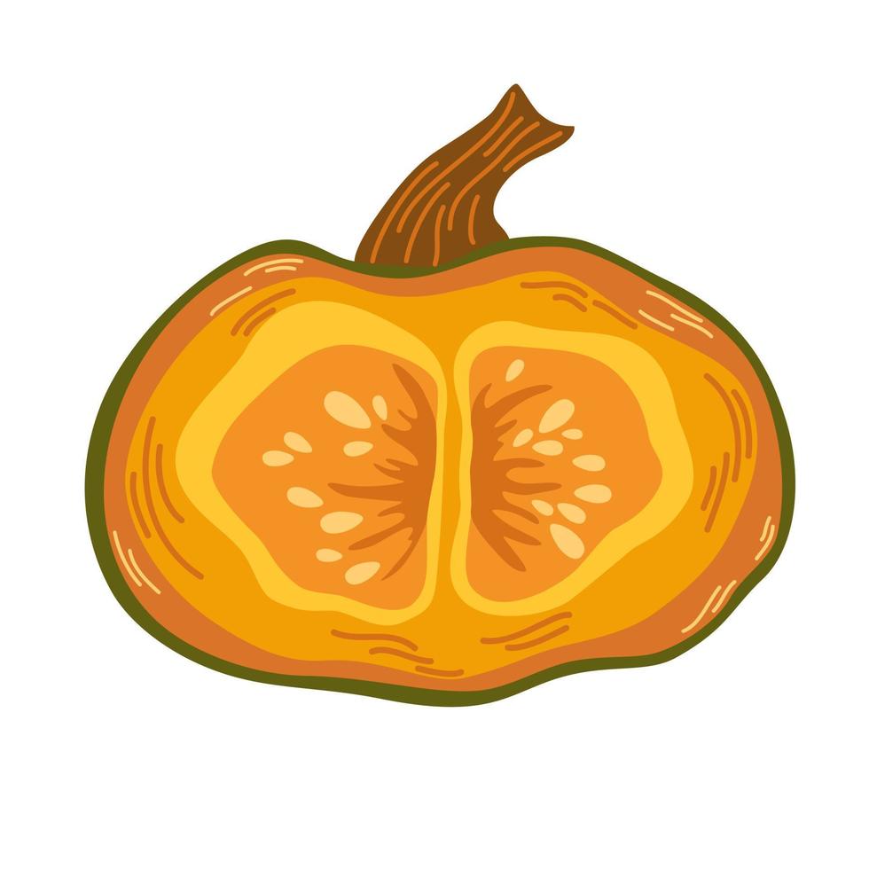 pompoen. groenten eten. pompoenvormen met bladeren, de helft met zaden en plakjes. herfst, herfst, Thanksgiving en Halloween decoratie. hand tekenen cartoon vectorillustratie vector