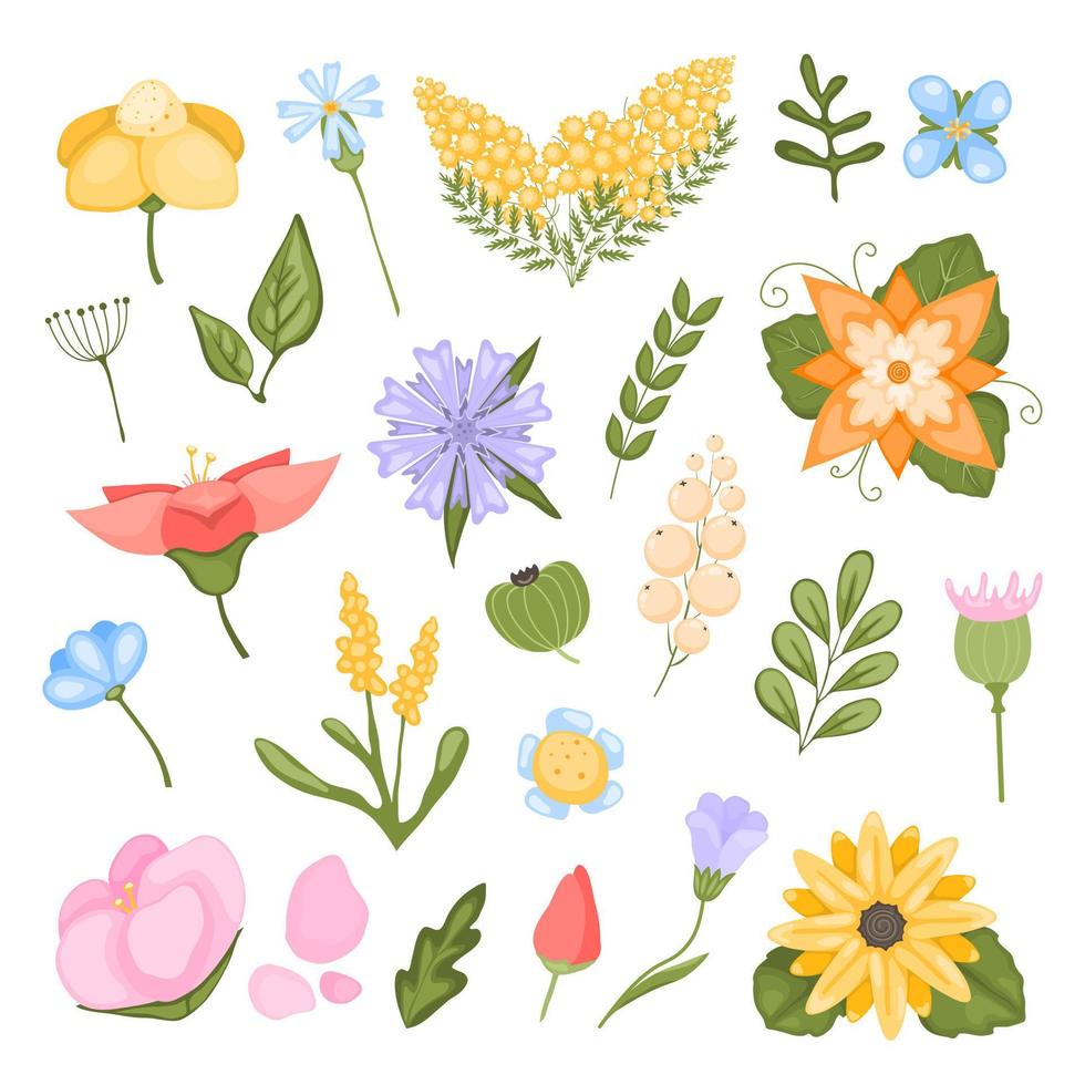 collectie bloemplanten. fantastische, magische vector bloesems set.