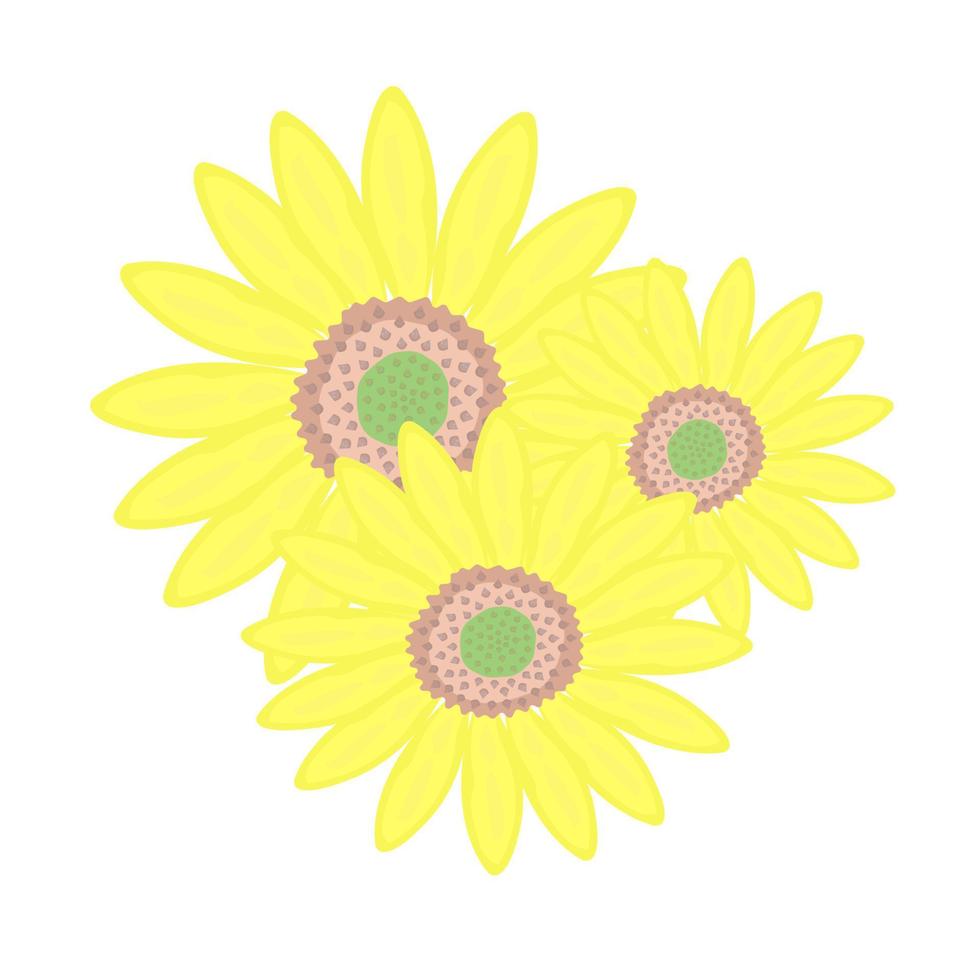 drie zonnebloemen, kleurrijke illustratie vector