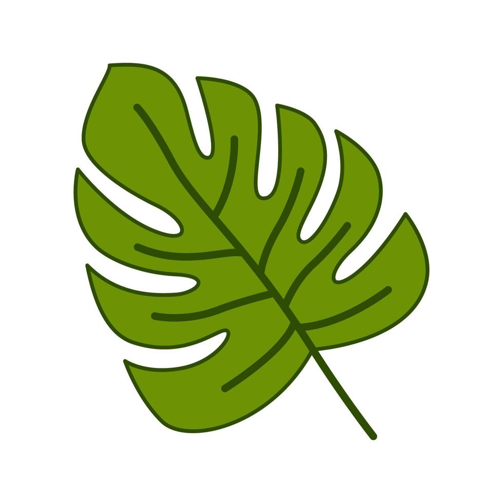 monstera geïsoleerd op witte achtergrond vector