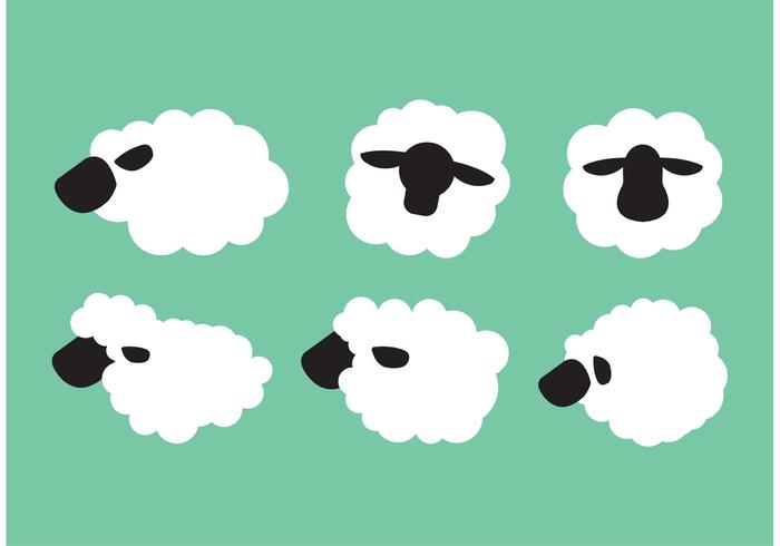 Schapen geïsoleerd vector