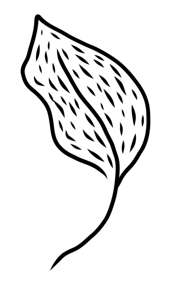 geïsoleerd op een witte achtergrond contour tekening van een plant leaf vector