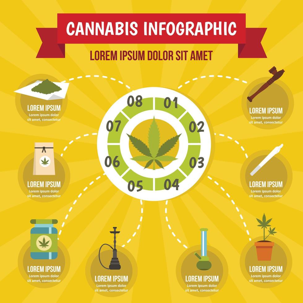 cannabis infographic concept, vlakke stijl vector