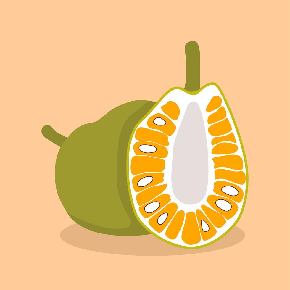 vectorillustratie van zoete en sappige jackfruit vector