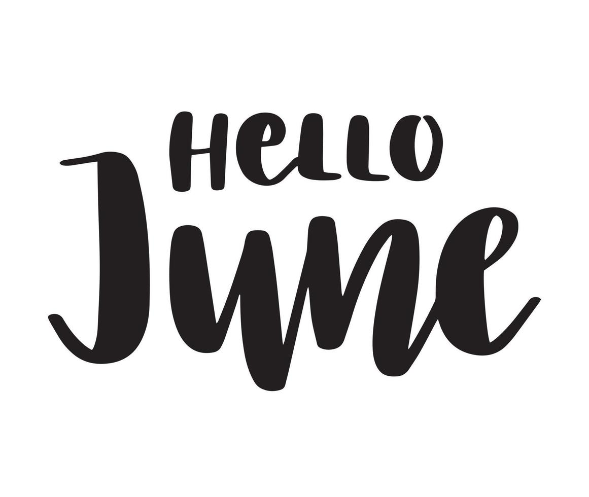 hallo juni-scriptborstelbelettering. handgeschreven moderne kalligrafie. vector typografie illustratie. ontwerp voor kalender, wenskaart, uitnodiging, poster.