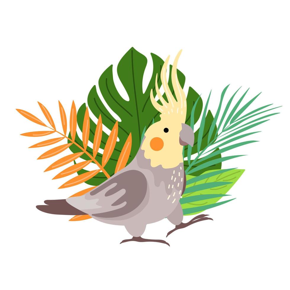 schattige cartoon papegaaien illustraties vector