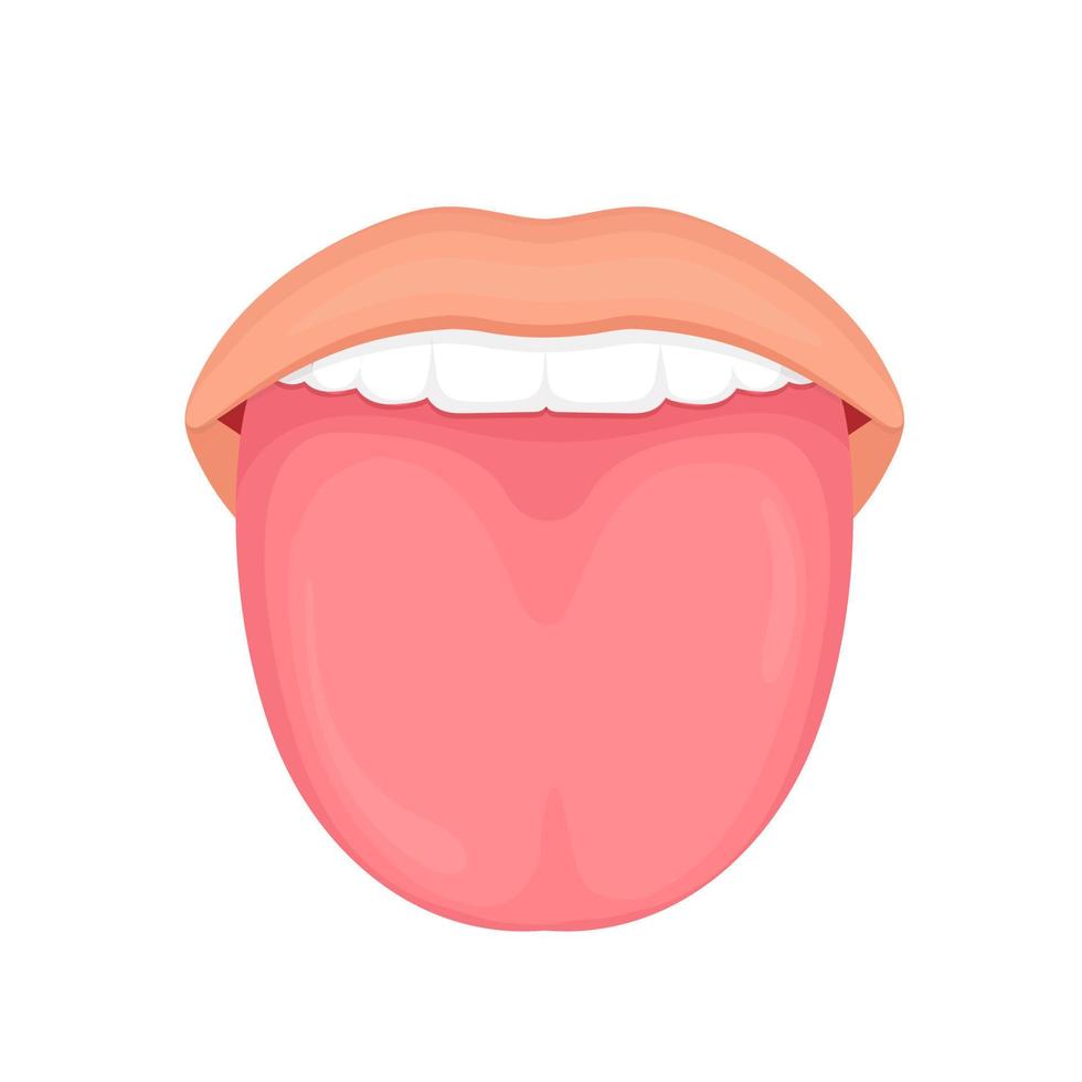 gezonde menselijke tong vectorillustratie vector