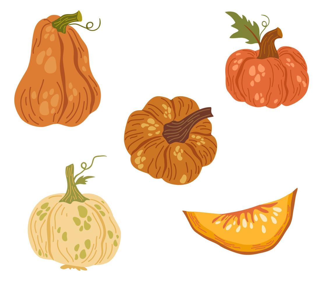 pompoenen instellen. pompoenvormen met bladeren, de helft met zaden en plakjes. herfst, herfst, Thanksgiving en Halloween decoratie. hand tekenen cartoon vectorillustratie vector