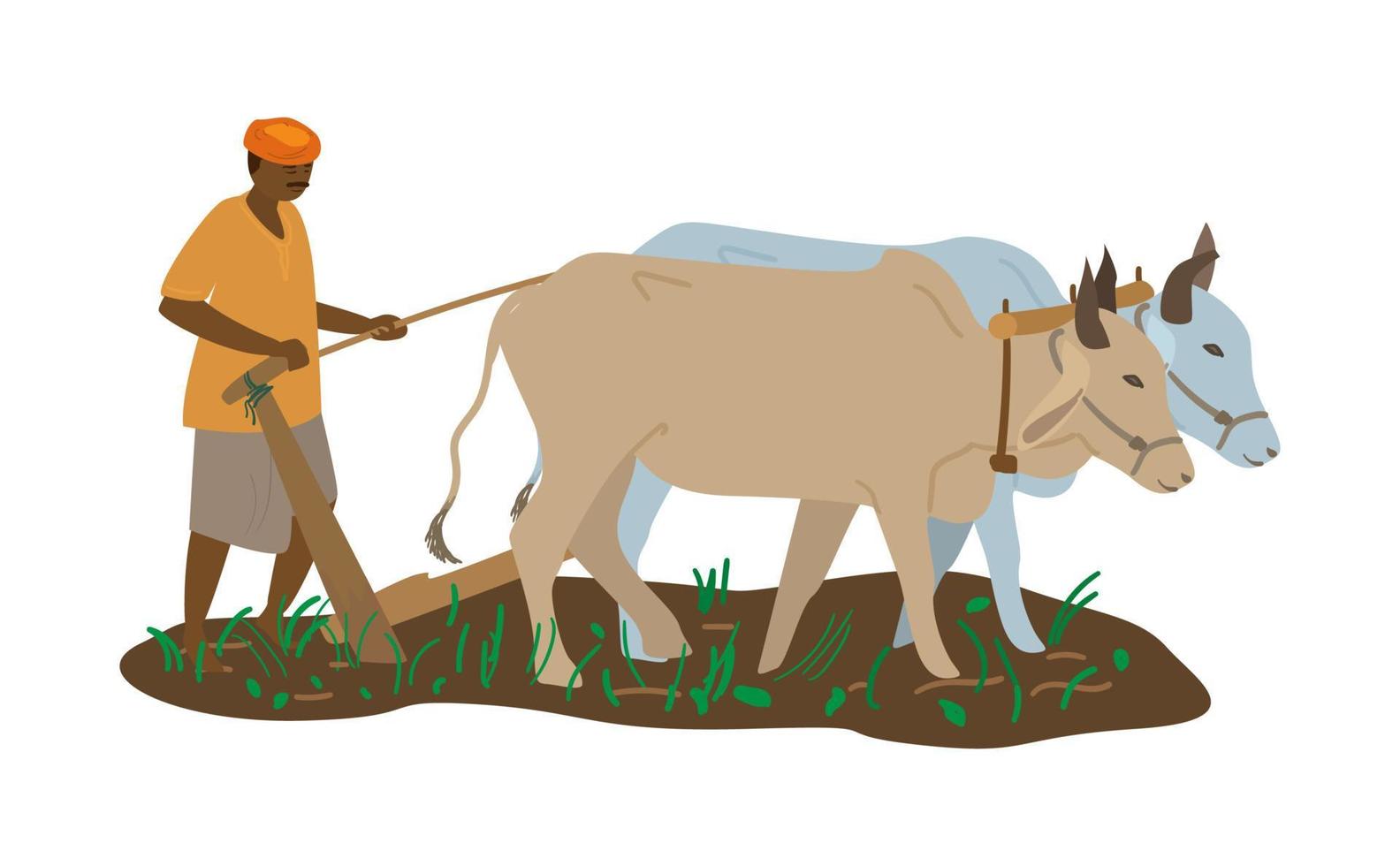 vectorillustratie van Indiase boer in tulband met paar ossen ploegen veld. traditionele landbouw. vlakke stijl. vector