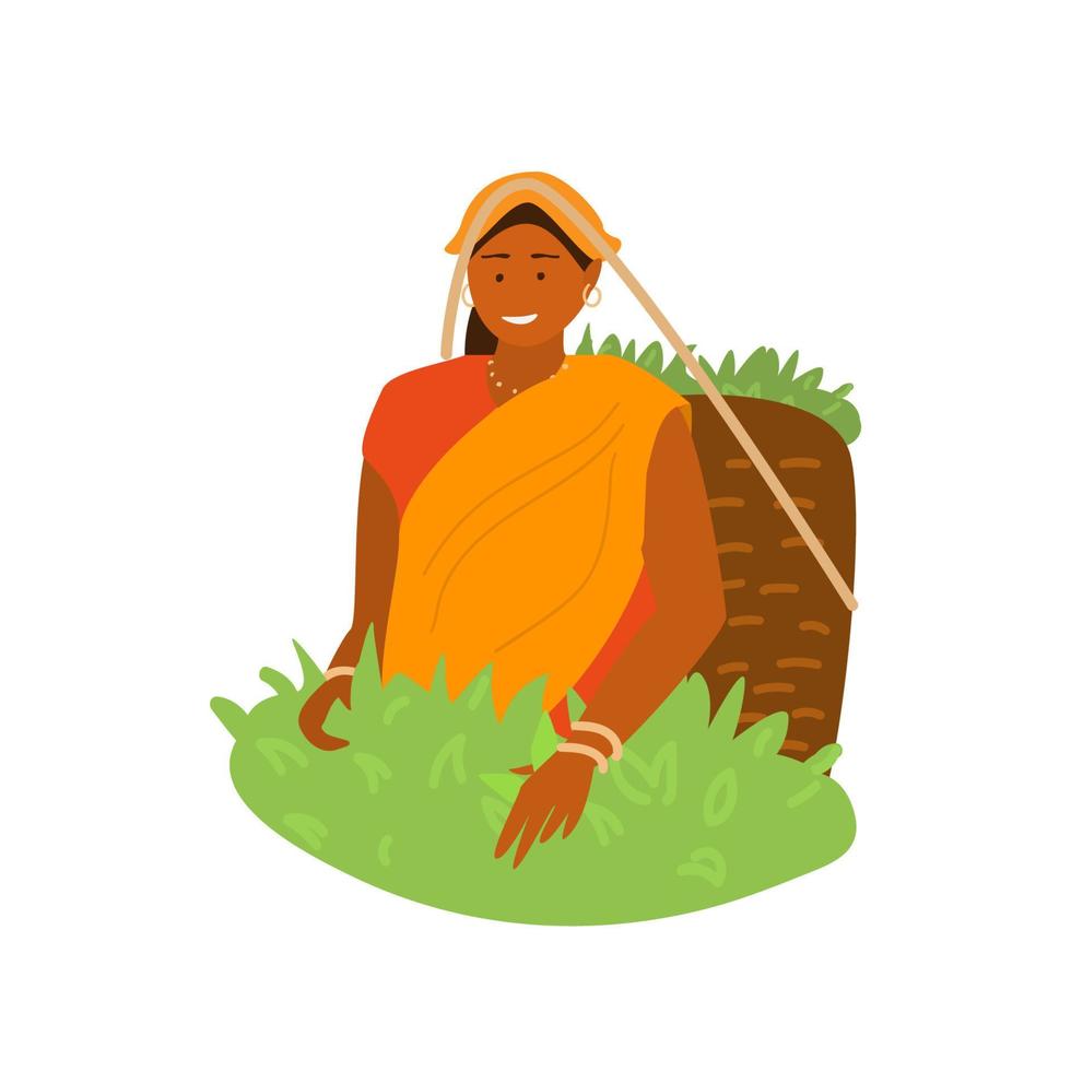vectorillustratie van jonge lachende Indiase dorpsvrouw in klederdracht theeblaadjes plukken in rieten mand op theeplantage. traditionele landbouw. vlak. vector