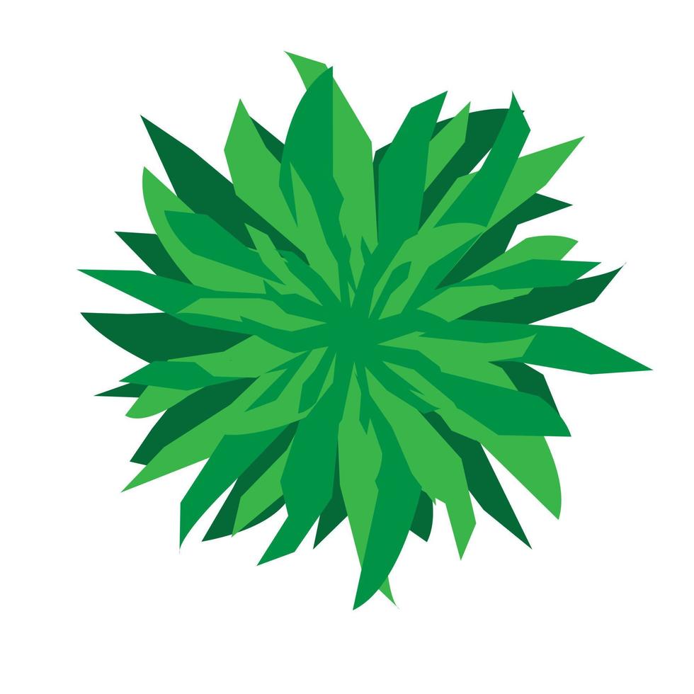 bovenaanzicht palm bladeren boom geïsoleerd op een witte achtergrond. vector illustratie