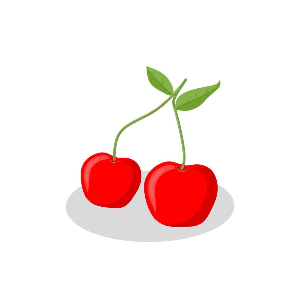 kersenfruit illustratie image.cherry fruit icon.fruits vector