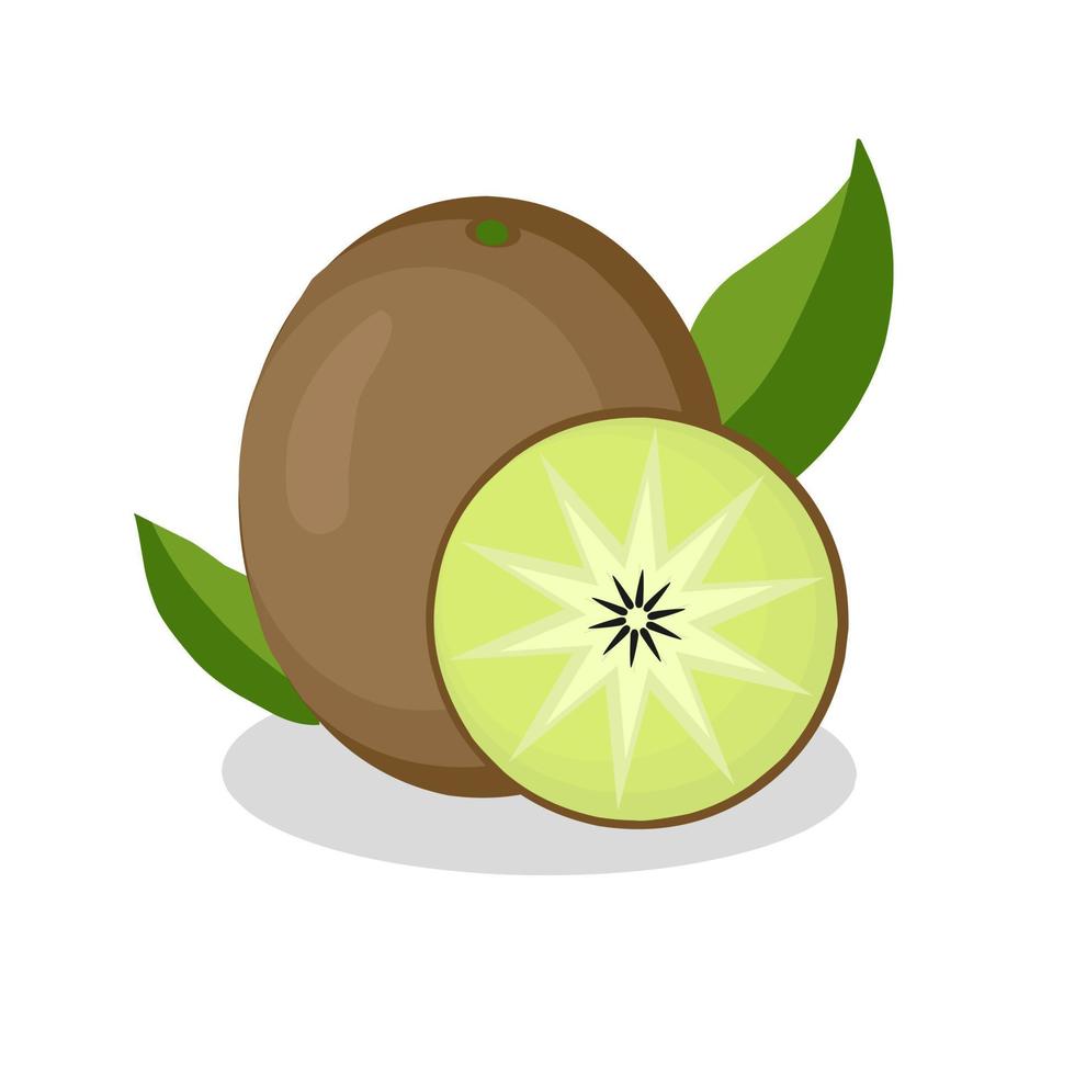 kiwi fruit illustration.kiwi fruit icon.fruits vector